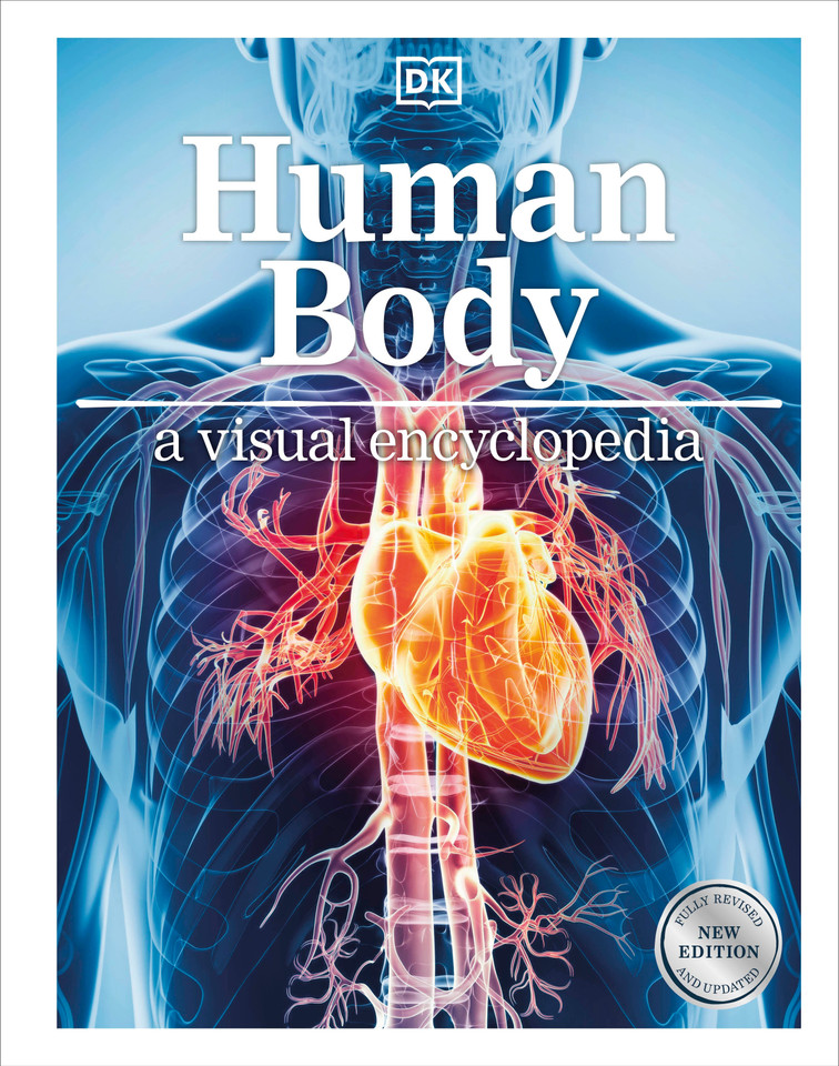 Human Body: A Visual Encyclopedia of How the Body Works book cover by DK