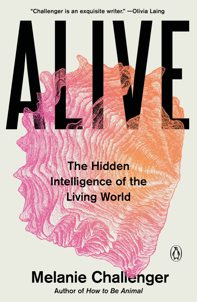 Alive: The Hidden Intelligence of the Living World book cover by Melanie Challenger