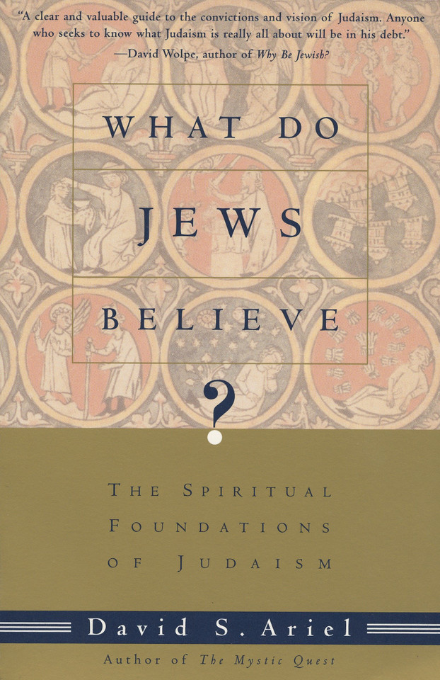 What Do Jews Believe?: The Spiritual Foundations of Judaism book cover by David Ariel