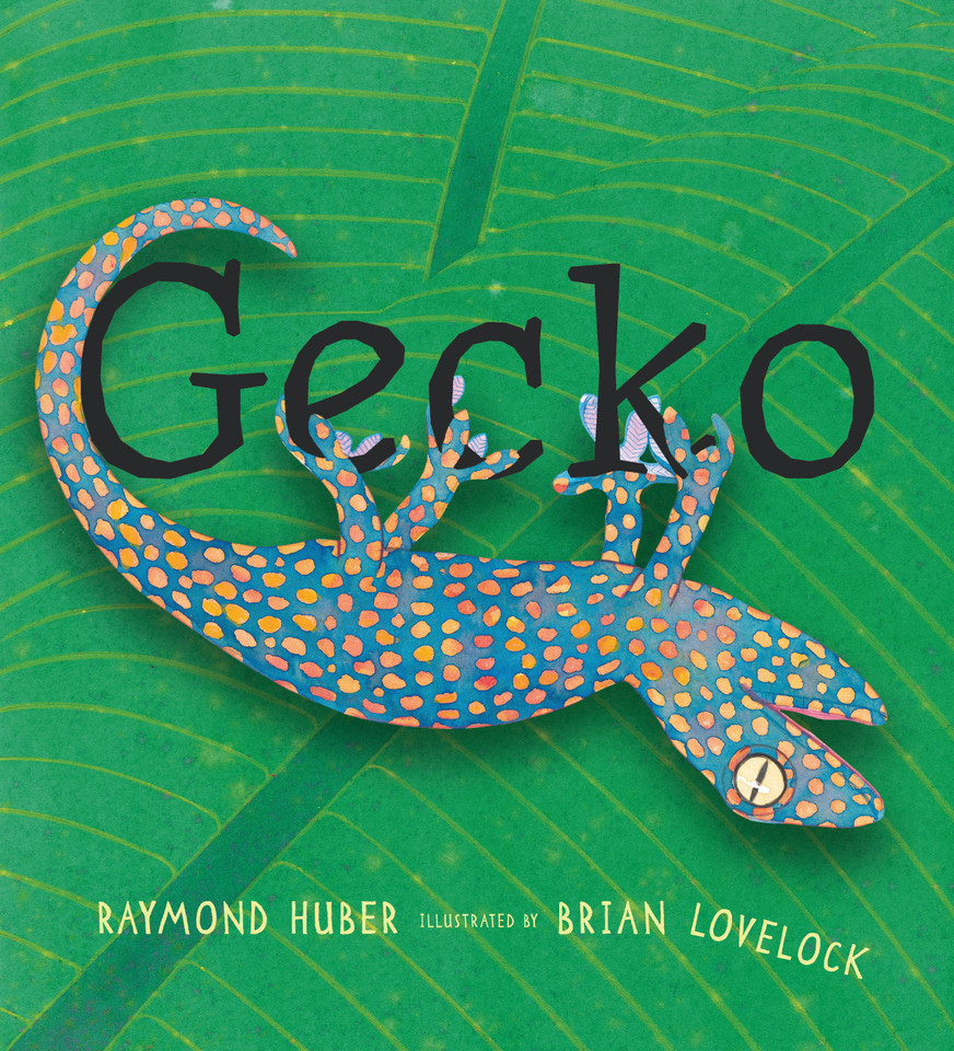 Gecko book cover by Raymond Huber