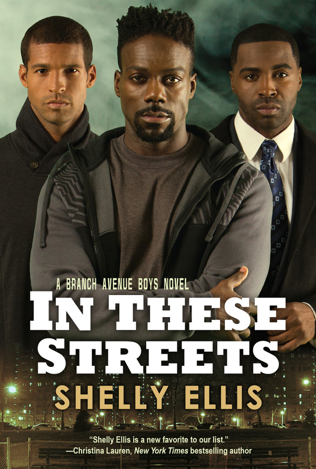 In These Streets (The Branch Avenue Boys) book cover by Shelly Ellis