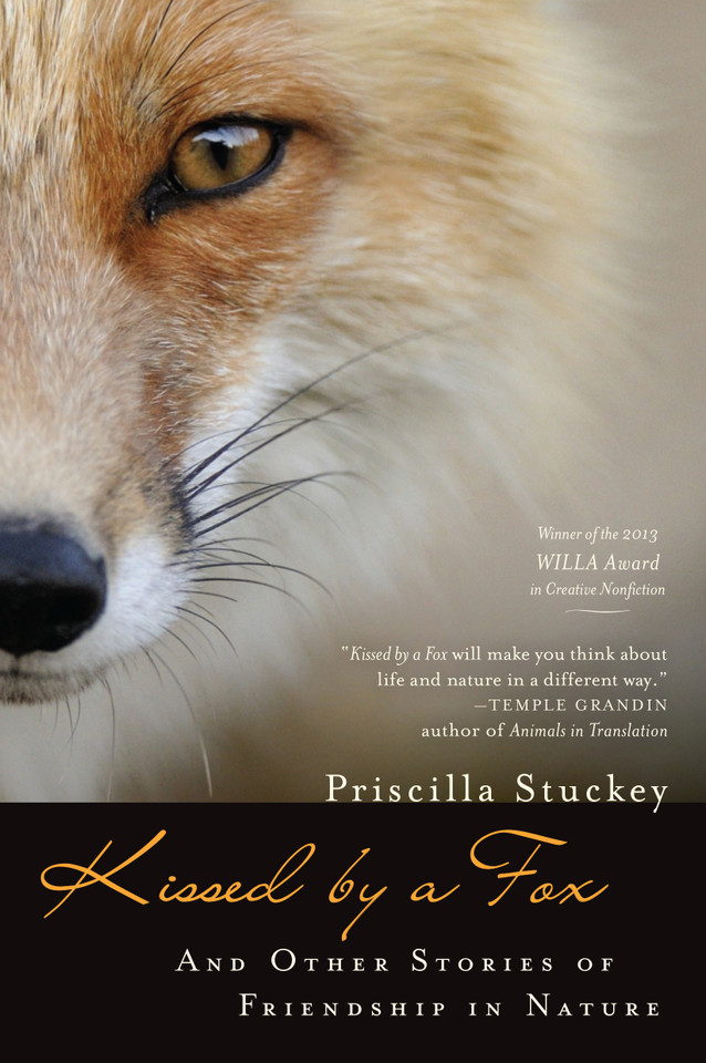 Kissed by a Fox: And Other Stories of Friendship in Nature book cover by Priscilla Stuckey