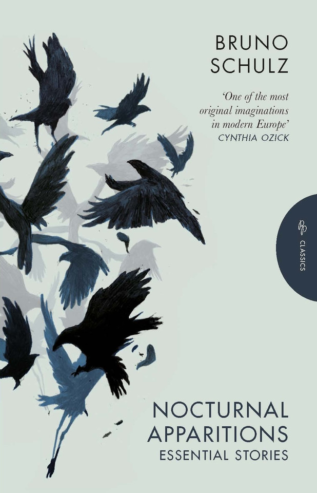 Nocturnal Apparitions (Pushkin Press Classics) book cover by Bruno Schulz