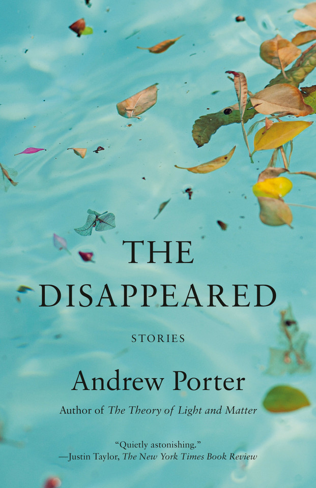 The Disappeared: Stories book cover by Andrew Porter