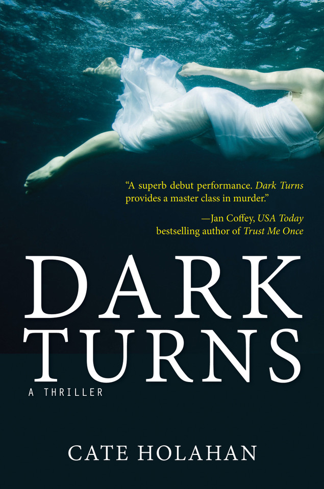 Dark Turns: A Novel book cover by Cate Holahan