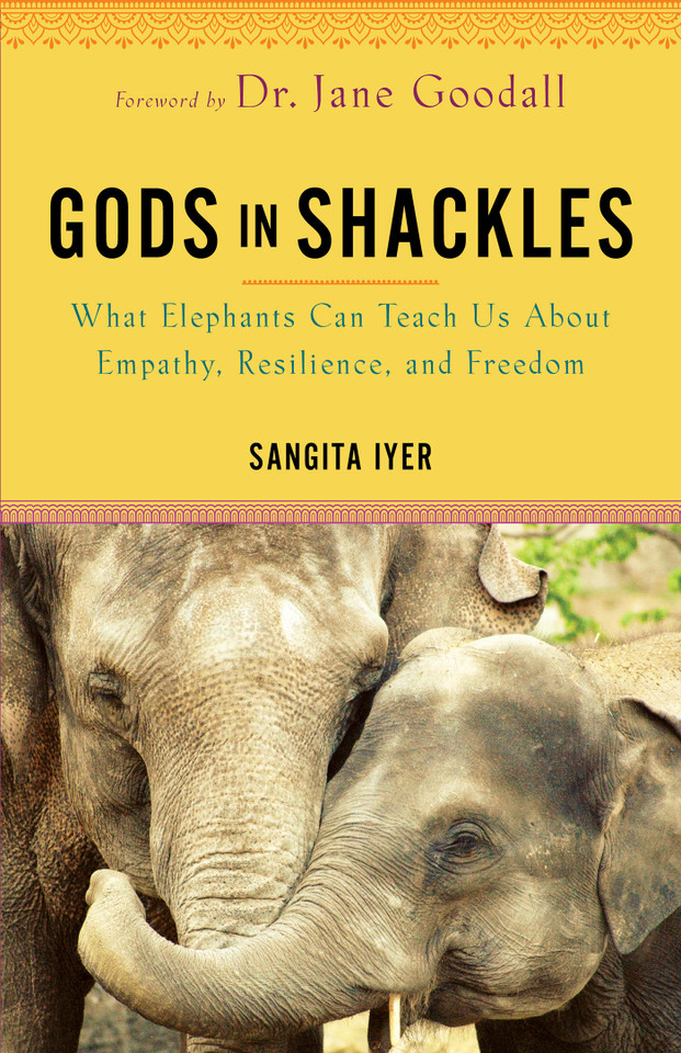 Gods in Shackles: What Elephants Can Teach Us About Empathy, Resilience, and Freedom book cover by Sangita Iyer