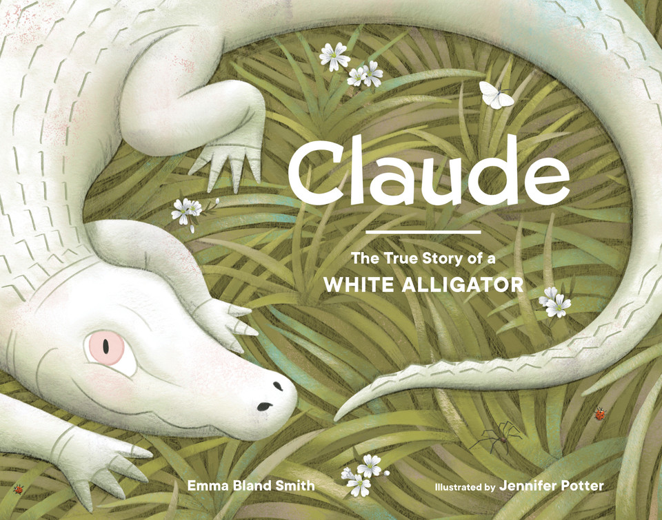 Claude: The True Story of a White Alligator book cover by Emma Bland Smith