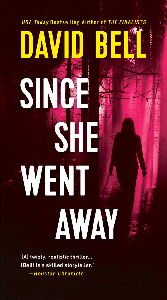Since She Went Away book cover by David Bell
