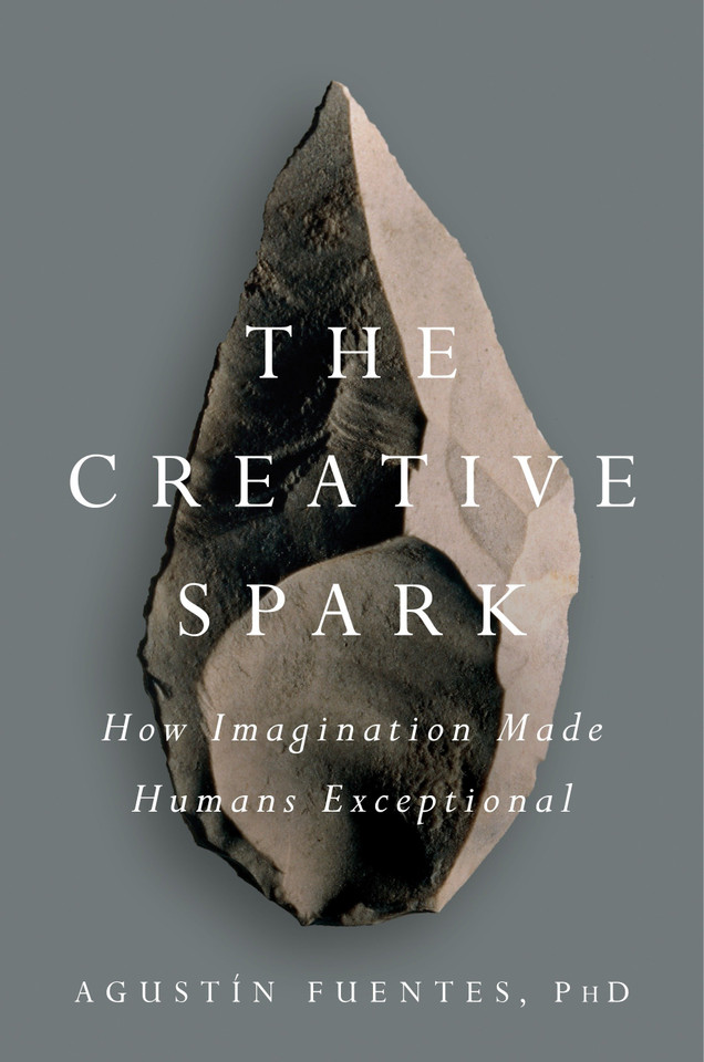 The Creative Spark: How Imagination Made Humans Exceptional book cover by Agustín Fuentes