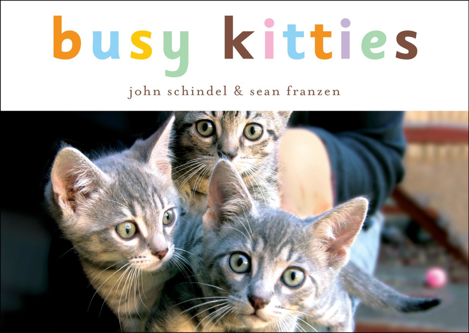 Busy Kitties (A Busy Book) book cover by John Schindel