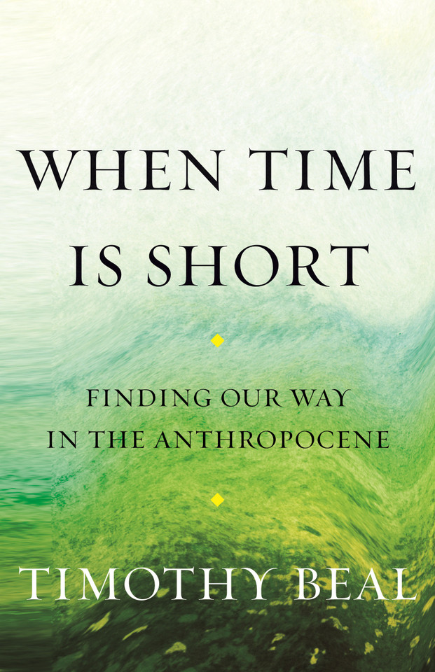 When Time Is Short: Finding Our Way in the Anthropocene book cover by Timothy Beal