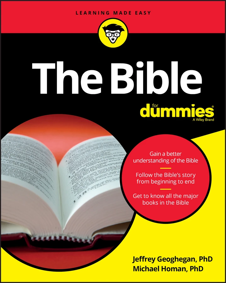 The Bible For Dummies book cover by Jeffrey Geoghegan, Michael Homan