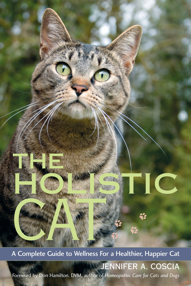 The Holistic Cat: A Complete Guide to Wellness for a Healthier, Happier Cat book cover by Jennifer A. Coscia