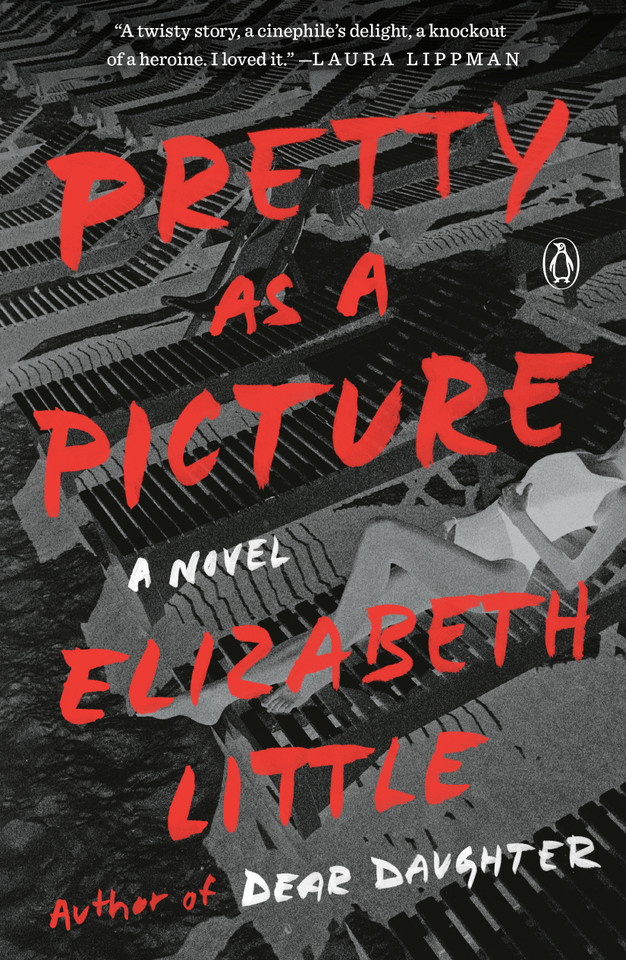 Pretty as a Picture: A Novel book cover by Elizabeth Little