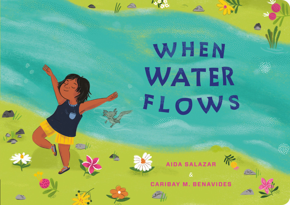 When Water Flows (My Living World) book cover by Aida Salazar