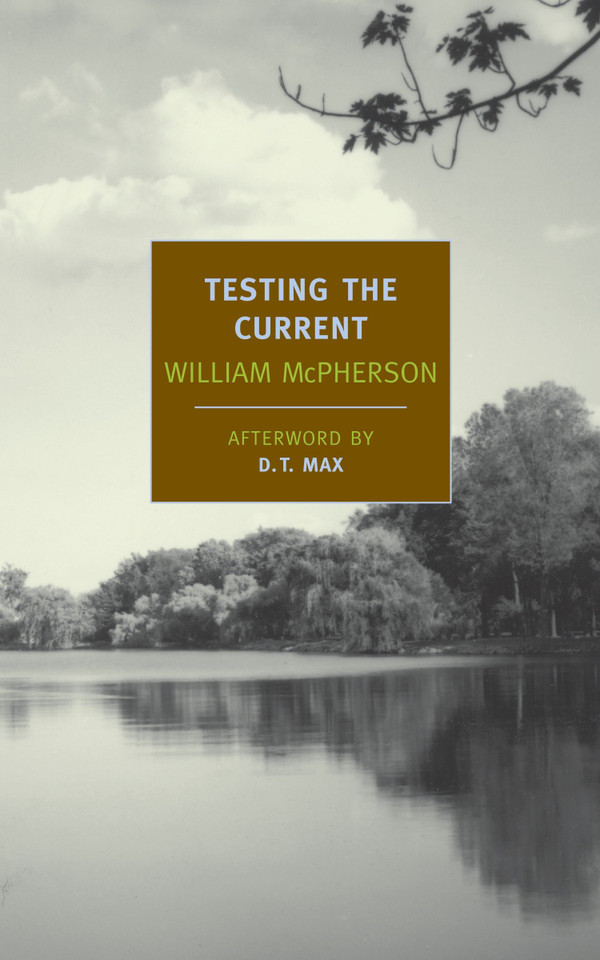 Testing the Current book cover by William McPherson