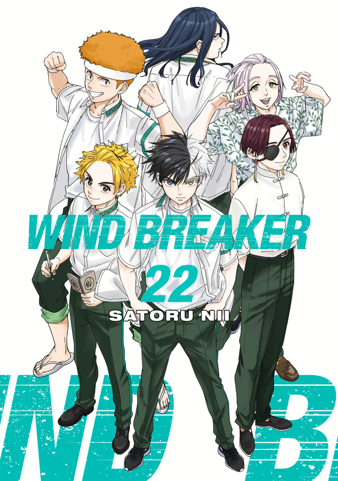 WIND BREAKER 22 (WIND BREAKER) book cover by Satoru Nii