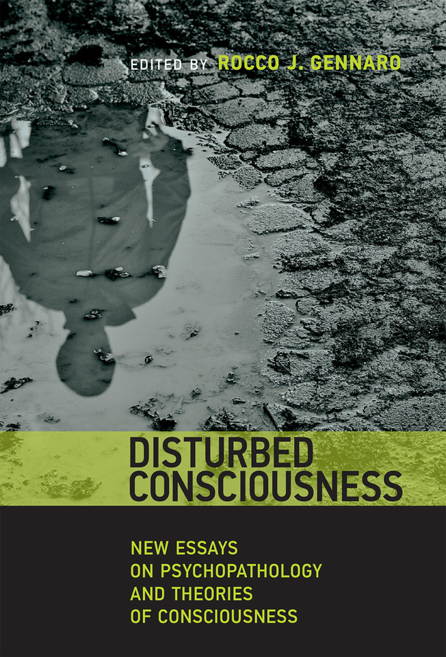 Disturbed Consciousness: New Essays on Psychopathology and Theories of Consciousness (Philosophical Psychopathology) book cover by 