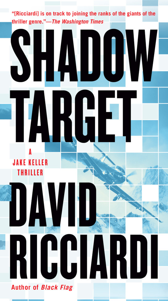 Shadow Target (A Jake Keller Thriller) book cover by David Ricciardi