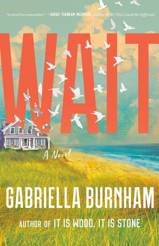 Wait: A Novel book cover by Gabriella Burnham