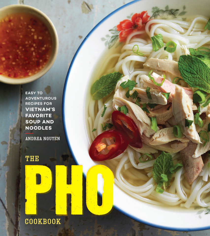 The Pho Cookbook: Easy to Adventurous Recipes for Vietnam's Favorite Soup and Noodles book cover by Andrea Nguyen