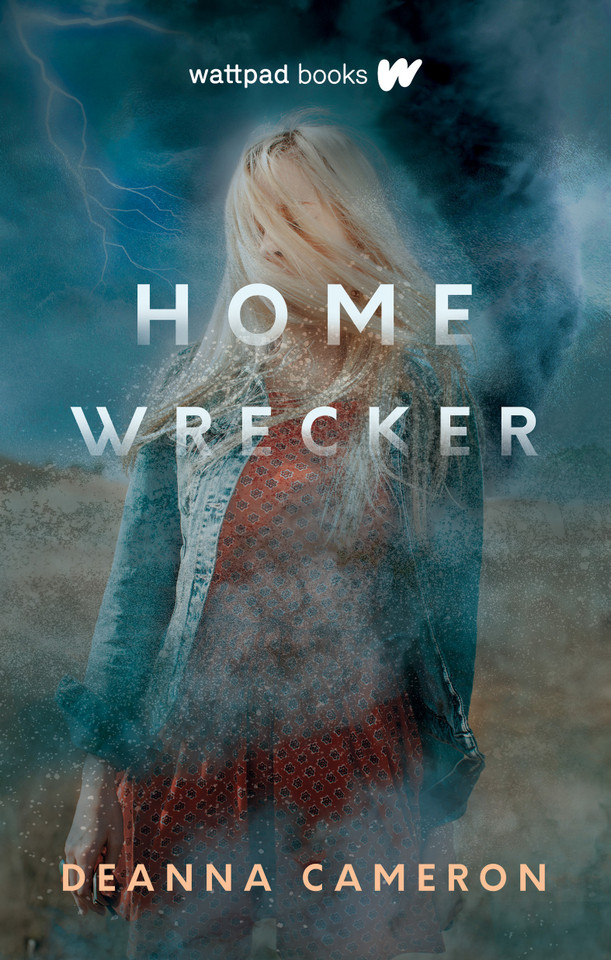 Homewrecker book cover by DeAnna Cameron