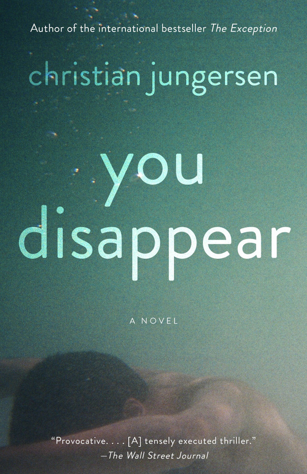 You Disappear book cover by Christian Jungersen