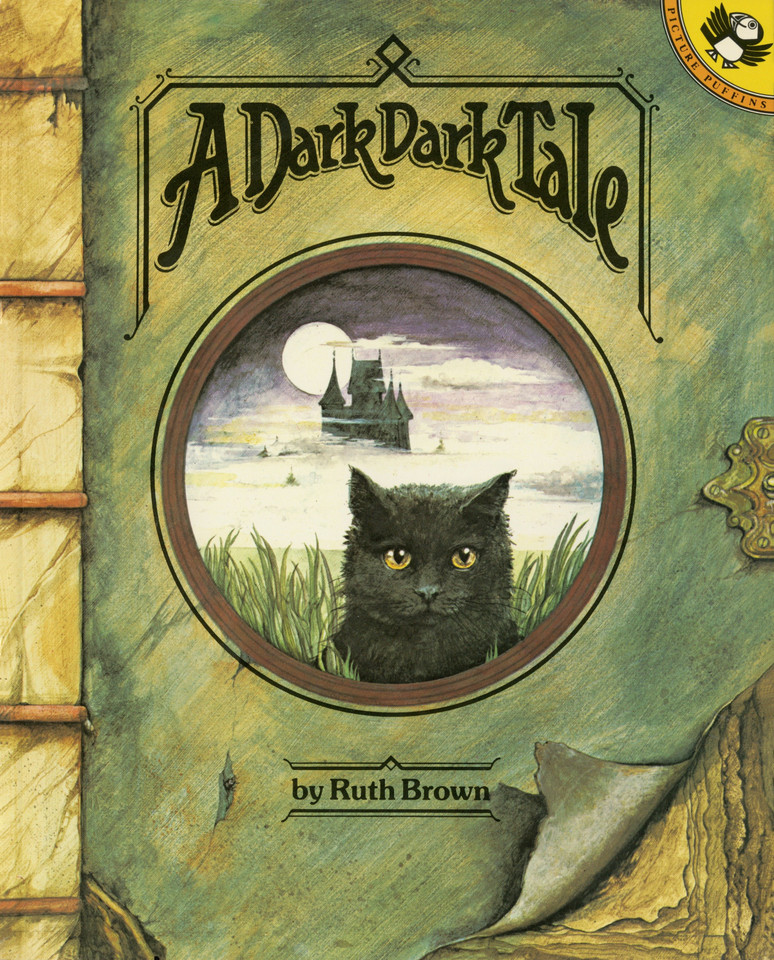 A Dark, Dark Tale book cover by Ruth Brown