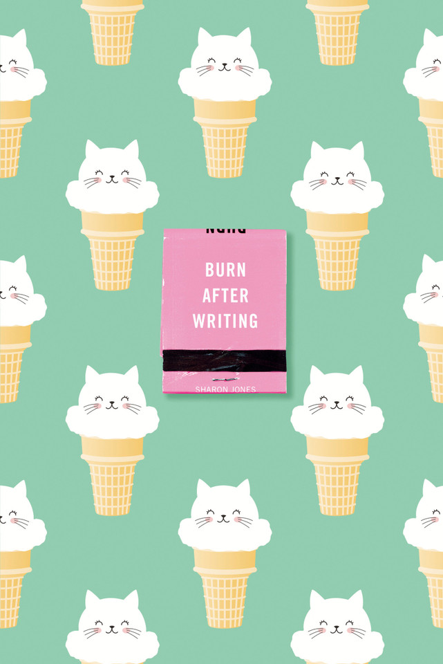 Burn After Writing (Ice Cream Cats) book cover by Sharon Jones