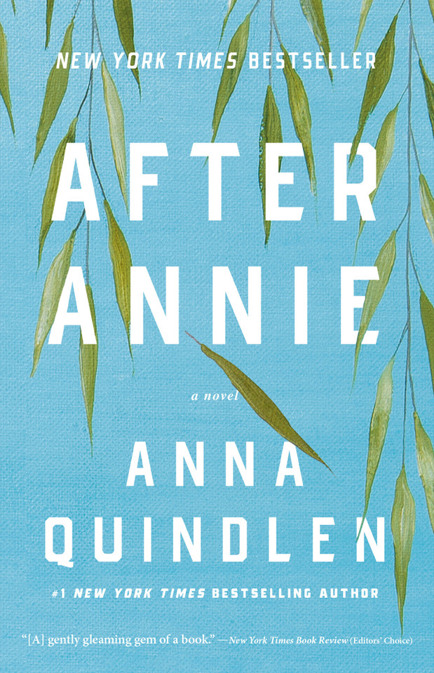 After Annie: A Novel book cover by Anna Quindlen