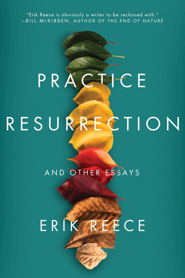 Practice Resurrection: And Other Essays book cover by Erik Reece