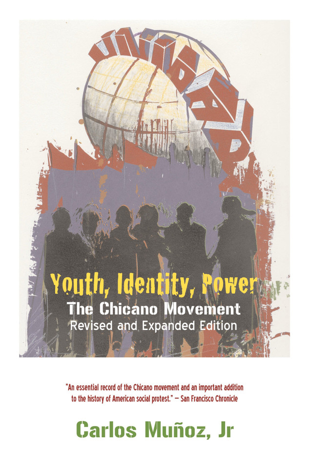 Youth, Identity, Power: The Chicano Movement book cover by Carlos Munoz