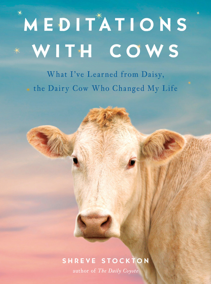 Meditations with Cows: What I've Learned from Daisy, the Dairy Cow Who Changed My Life book cover by Shreve Stockton