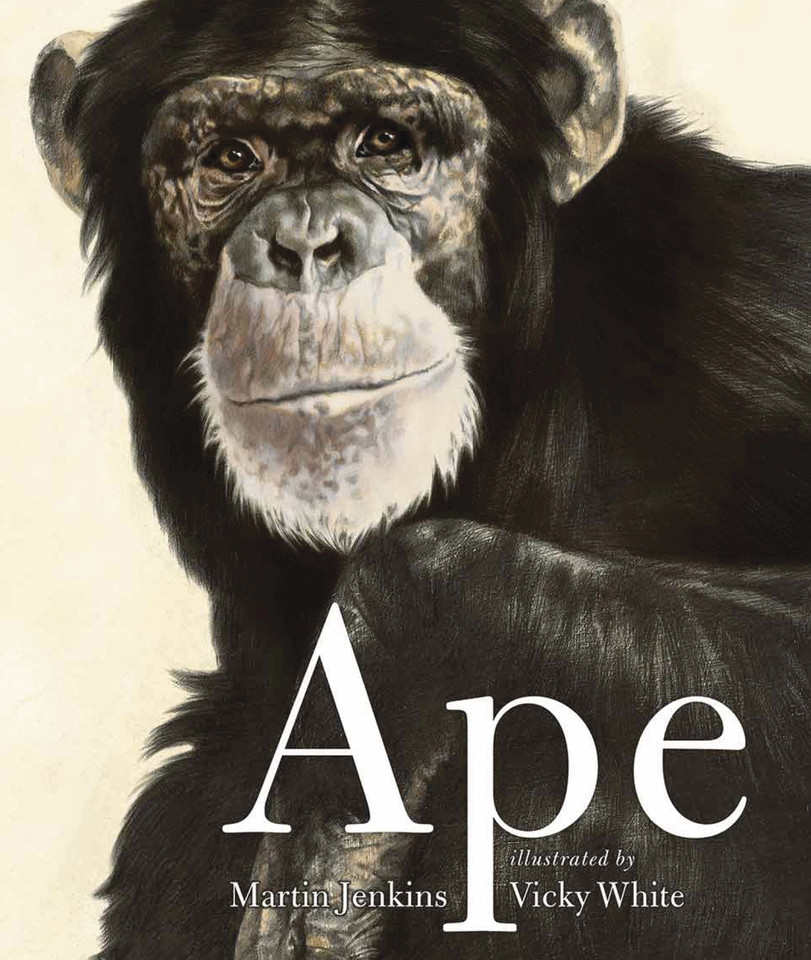 Ape book cover by Martin Jenkins