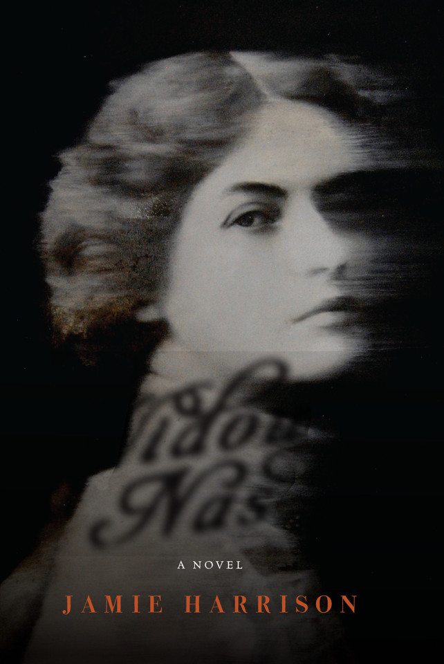 The Widow Nash: A Novel book cover by Jamie Harrison