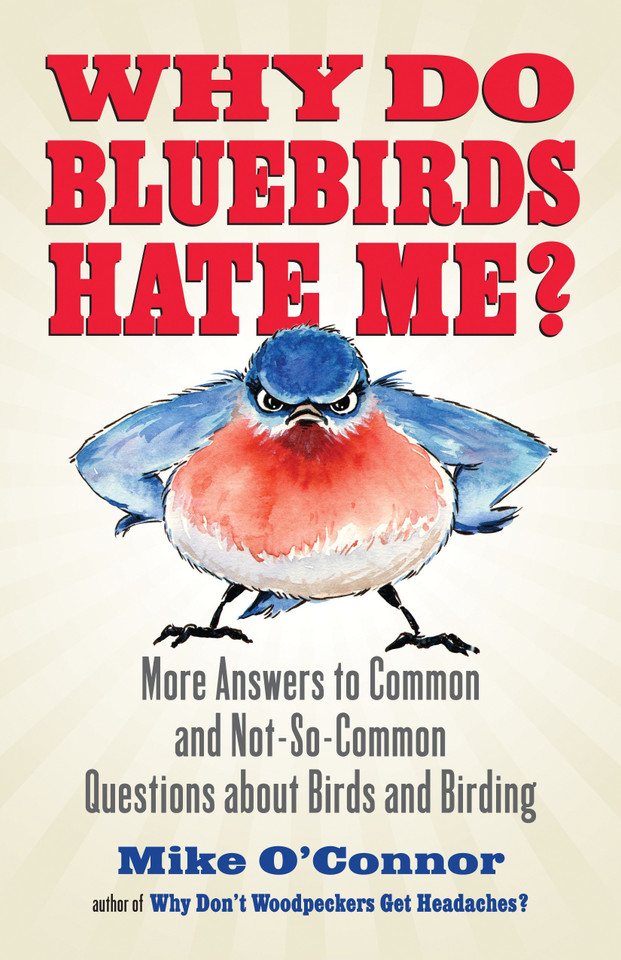 Why Do Bluebirds Hate Me?: More Answers to Common and Not-So-Common Questions about Birds and Birding book cover by Mike O'Connor