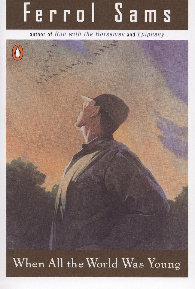 When All the World Was Young book cover by Ferrol Sams