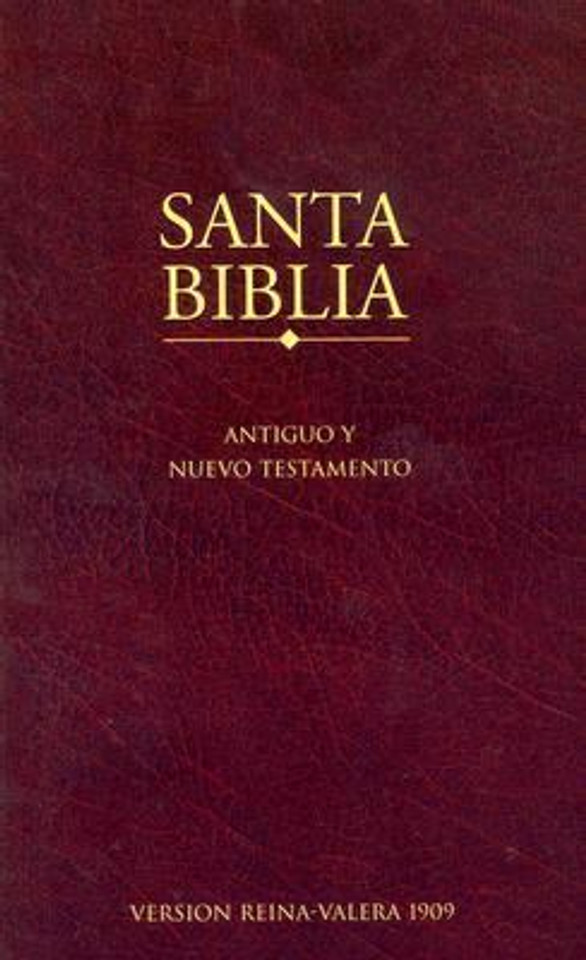 Santa Biblia: Antiguo y Nuevo Testamento [Paperback] Cover