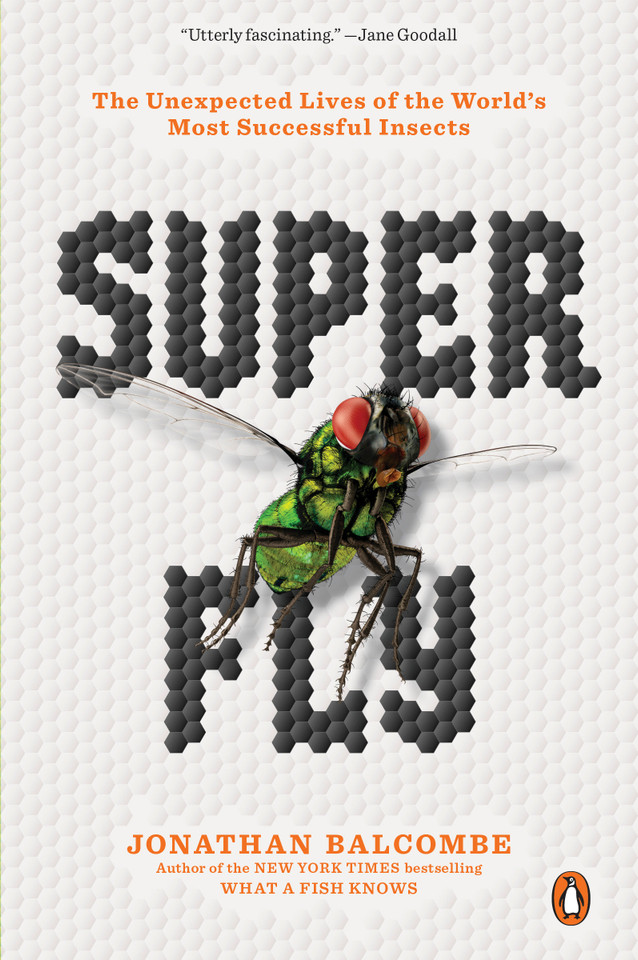 Super Fly: The Unexpected Lives of the World's Most Successful Insects book cover by Jonathan Balcombe