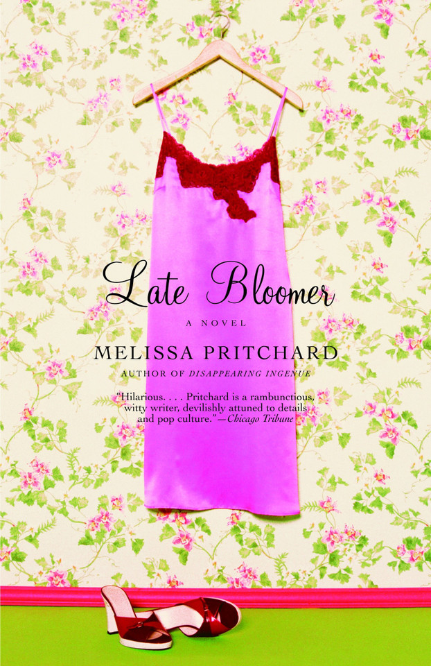 Late Bloomer book cover by Melissa Pritchard