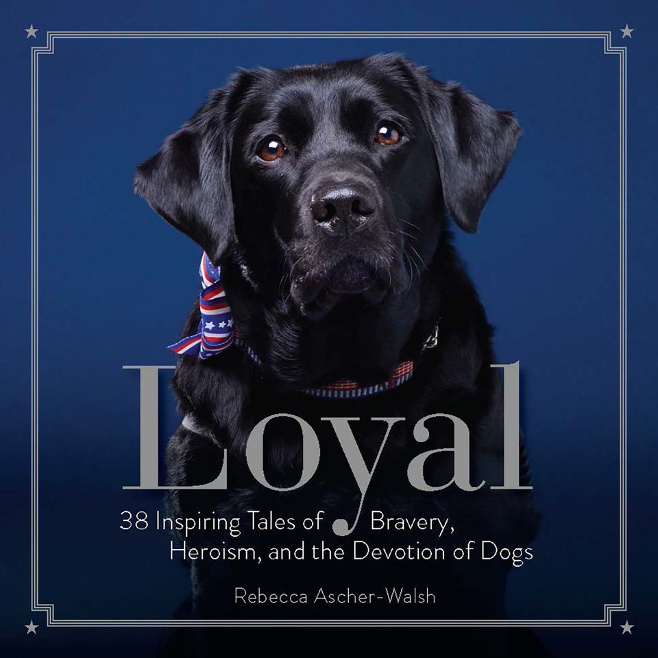 Loyal: 38 Inspiring Tales of Bravery, Heroism, and the Devotion of Dogs book cover by Rebecca Ascher-Walsh