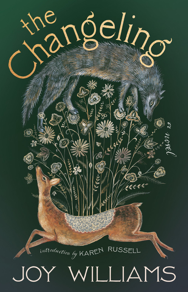 The Changeling: A Novel book cover by Joy Williams