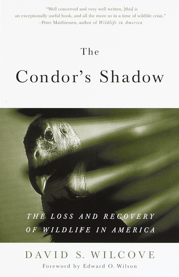 The Condor's Shadow: The Loss and Recovery of Wildlife in America book cover by David S. Wilcove