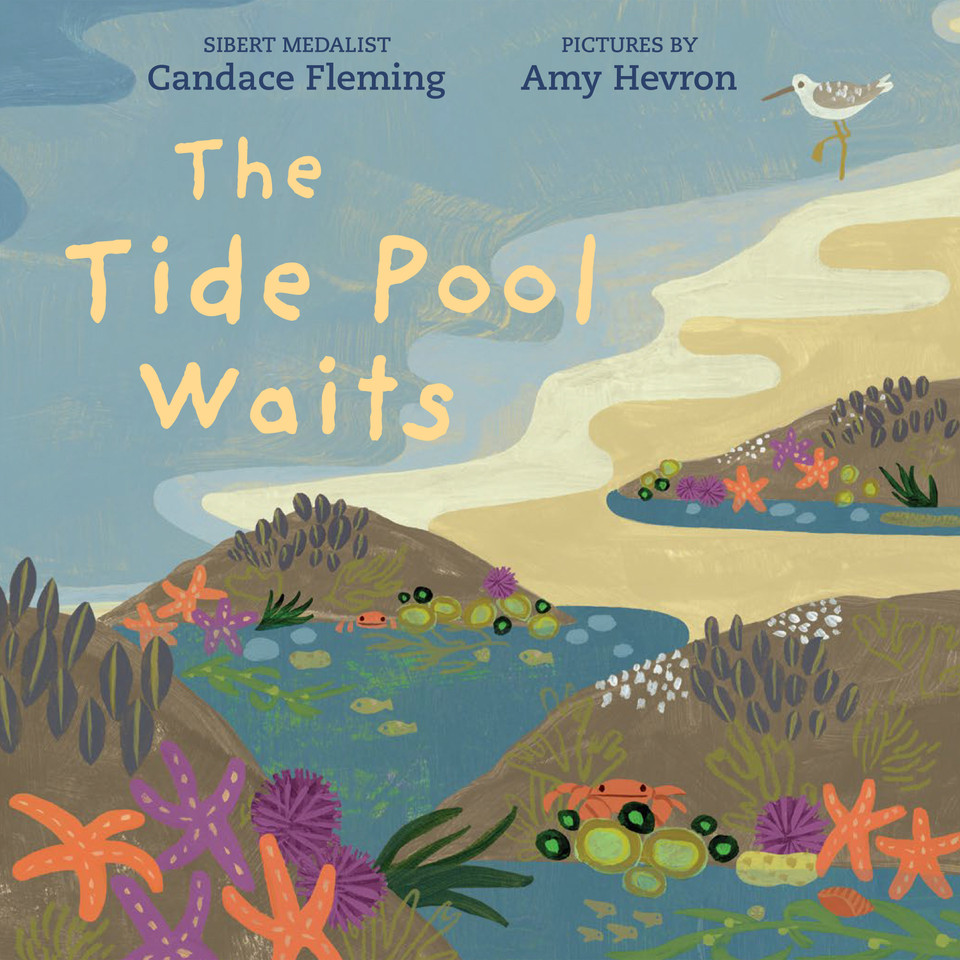 The Tide Pool Waits book cover by Candace Fleming