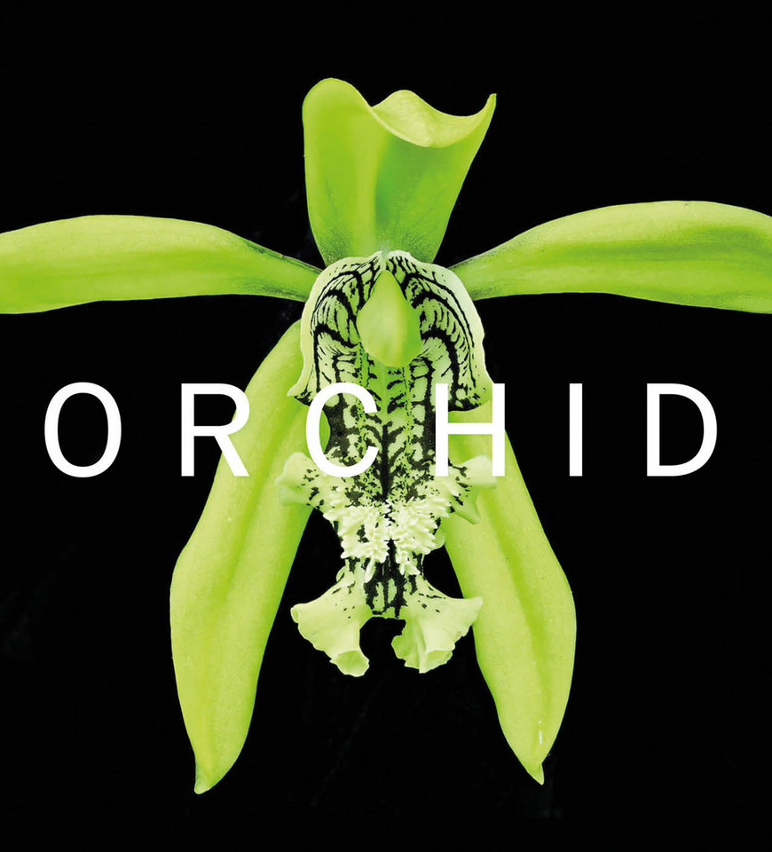 ORCHID: Marie Selby Botanical Gardens book cover by David A. Berry