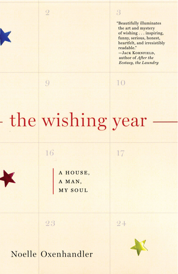 The Wishing Year: A House, a Man, My Soul book cover by Noelle Oxenhandler