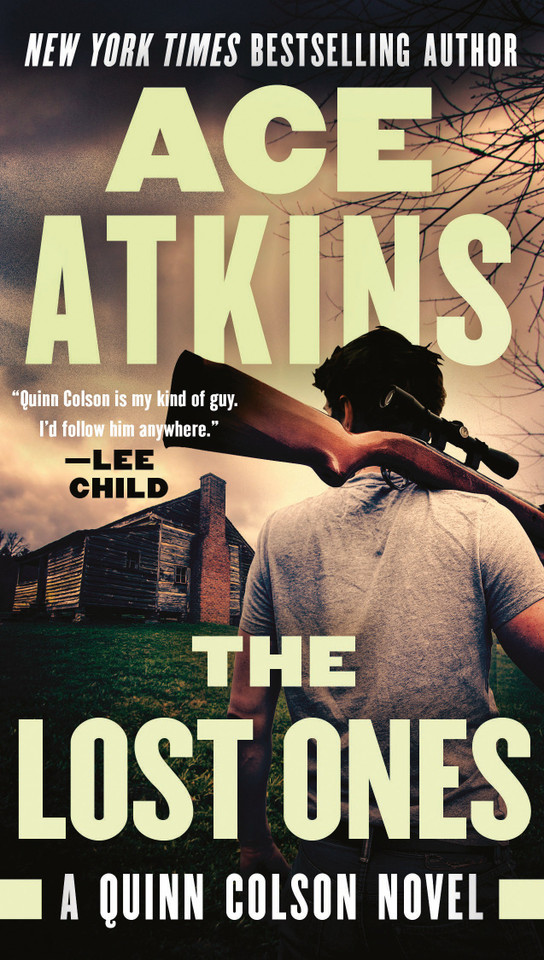 The Lost Ones (A Quinn Colson Novel) book cover by Ace Atkins