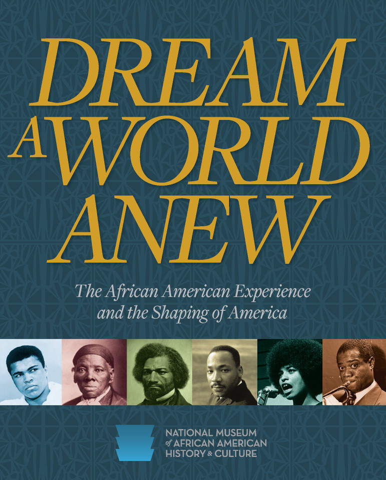 Dream a World Anew: The African American Experience and the Shaping of America book cover by 