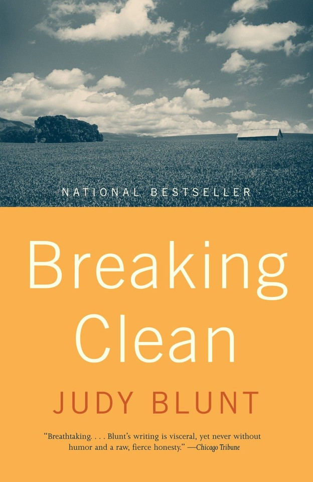 Breaking Clean book cover by Judy Blunt