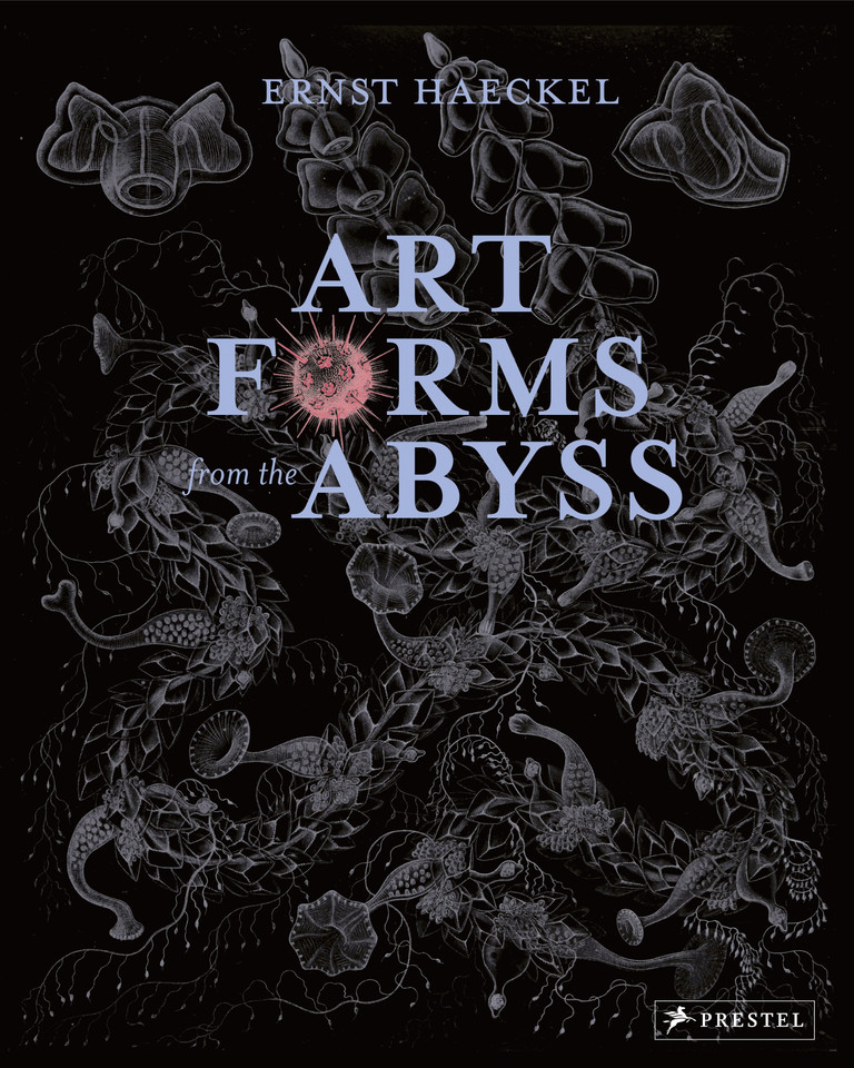 Art Forms from the Abyss: Ernst Haeckel's Images From The HMS Challenger Expedition book cover by Peter J Le B Williams, Dylan W. Evans, David J Roberts, David Thomas